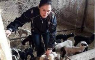 Вигенин: Само отстраняването на Дамян Илиев може да спаси стадото на Ани Петрова от Болярово 