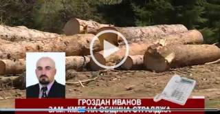 Стралджа: Даряват конфискувани незаконно придобити дърва на бедни