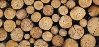 По 8 кубика дърва ще отпусне Община Болярово за лекарите в региона