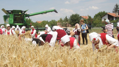 С пресъздаване на народния ритуал &quot;зажънване&quot;