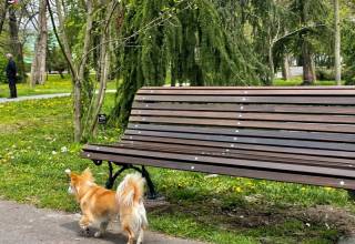 Инициатива на ръководството на Община Ямбол за