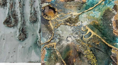 ИЗЛОЖБА В &quot;ТУНДЖА&quot; на 11 ноември