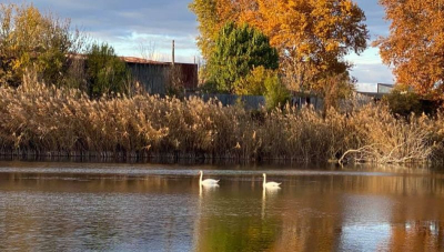 Забраняват риболова в части от циментираното корито на река Тунджа