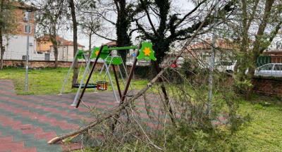 Бурният вятър вчера е причинил доста щети в Ямбол,