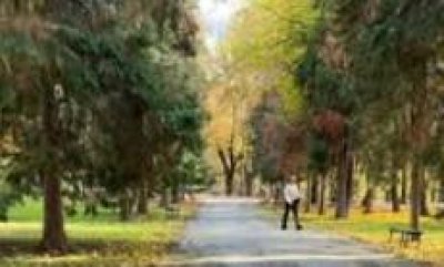 Приключи асфалтирането на алеите в градския парк на Ямбол!