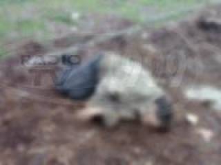 Според община Ямбол социалната услуга не е рентабилна!