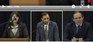 Вече документално - как беше обсъждана и гласувана точката за ВЕИ-та край Ямбол