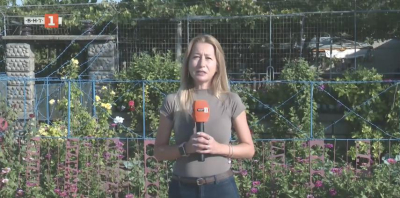 Замогването на ромите. Две истории от Община &quot;Тунджа&quot;