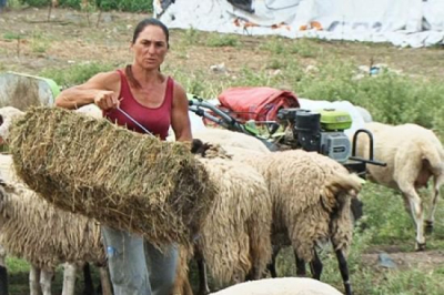 Помните ли /трябва! / Ани и Тодор от Болярово,