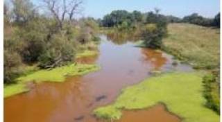 Имуществена санкция от 4 500 лв. е наложена на юридическо лице от град Ямбол