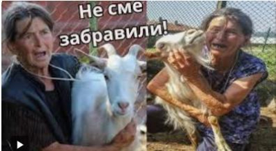 Не Брюксел е забранявал да ваксинираме...&quot;Нашите&quot; били ! Лъгаха..и ИЗБИВАХА ЖИВОТНИТЕ