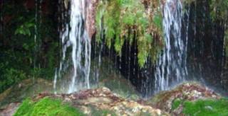 Очакват становища,, възражения, предложения за защитените зони в Ямболска област