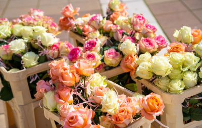 Бъдете щастливи, мили дами!