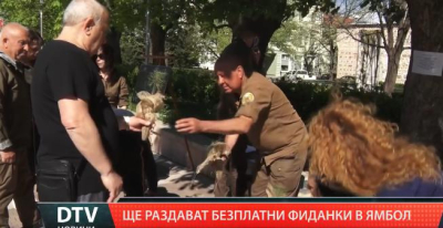 В Ямбол ще раздават безплатни фиданки /в четвъртък/