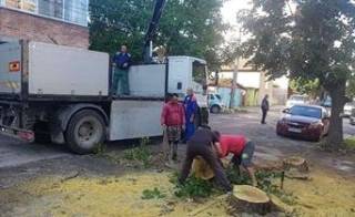 В Ямбол сечта продължава. Поредният "труп" падна на улица "Ангел Кънчев".