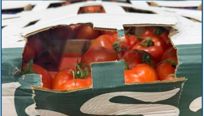 Митничарите на Лесово спряха над 14 тона скрити зеленчуци! /домати и краставици зад мандарини//