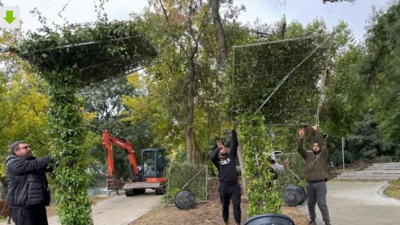 Ако търсите работа