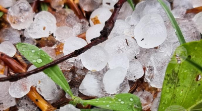 Поне 11 села в област Ямбол пострадаха от градушка. Къде е доклада от тази сутрин?